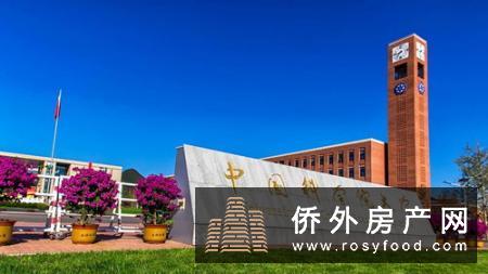 迪拜经济持续走高，开年来近万家公司落户迪拜